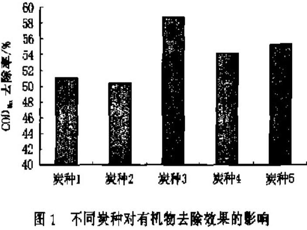 �۠����̿�������g���õ��P�I���}